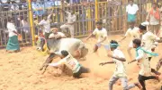Tragedy at Trichy Jallikattu: Teenager Killed, 59 Injured During CM Stalin Birthday Event