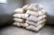 Union Budget 2026-27 Boosts Cement Sector Growth, Analysts See Double-Digit Demand Potential