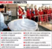 Union Budget 2026-27 Delivers Major Boost to Gujarat's Dairy Cooperative Sector