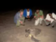 Union Budget 2026 Announces High-Speed Rail Corridors Linking Bengaluru with Hyderabad & Chennai