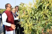 Union Minister Chouhan Urges Scientists to Extend Shelf Life of Fruits & Vegetables