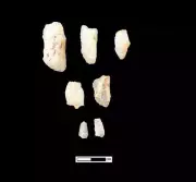 University of Madras Students Discover Major Stone Age Tool-Making Site Near Vellore