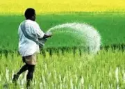 UP CM Yogi Adityanath Directs New Seed Policy, 5 Seed Parks & Solar Push for Farmers