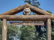 UP Tourism Prepares Dudhwa for Safari Season 2026 with Eco-Tourism Push