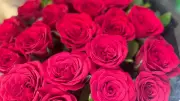 Valentine's Day Rose Prices Soar, Florists Face Losses in Pune Market