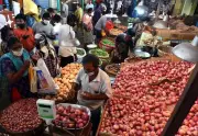 Vegetable Prices Plummet in Chennai Markets as Supply Surges from Other States