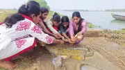 Villagers in Odisha Worship Crocodile Idols to Ward Off Deadly Attacks