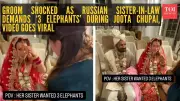 Viral Wedding Clip: Bride's Sister Demands 3 Elephants for Groom's Shoes