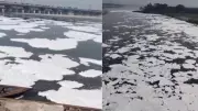 Yamuna's White Menace Returns: Toxic Froth Reappears in Delhi's River Stretch