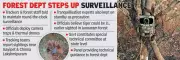Young Tiger's 300-Km Journey Through Telangana: Forest Officials Monitor Cautious Movement