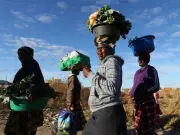 Zimbabweans Opt for Funeral Insurance Over Expensive Medical Coverage