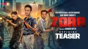 Zorr Official Teaser Released: Rishab Chadha, Akash Makhija Star in Hindi Film