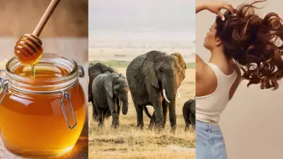 14 Astonishing Scientific Facts That Will Surprise You