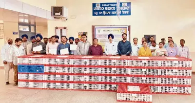 25 Attend Specialized Quail Meat Production Training at Punjab Vet University