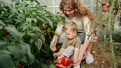 8 Plants You Should Never Grow From Seed: Expert Gardening Tips Revealed