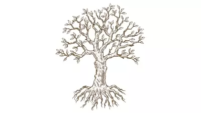 Activists Raise Alarm Over Bengaluru Metro's Impact on City's Green Cover