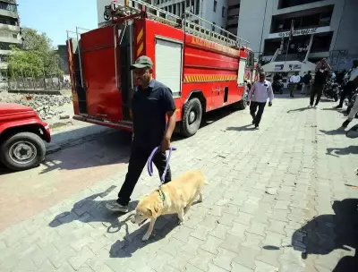 Ahmedabad Court Complex Evacuated After Bomb Threat Email Triggers Major Security Response