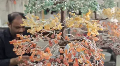 Alipur's Quiet Mourning: How a 'Mini Iran' in Karnataka Remembers Ayatollah Khamenei