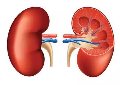 Ambala Hospital Hosts Kidney Health Awareness Event, Stresses Early Detection