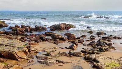 Andhra Pradesh Aims to Become Strategic Material Hub with Beach Sand Minerals