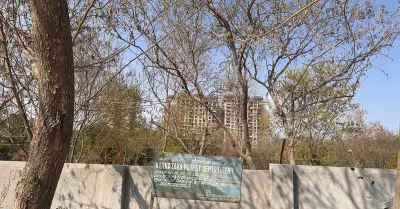 Bengaluru Forest Department Opposes Diversion of Panathur Forest Land for 150-Ft Road