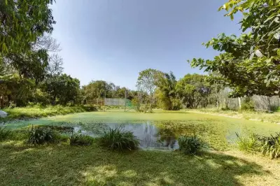 Bengaluru's CRPF Campus Pond Transformed into Thriving Lake Through Community Effort