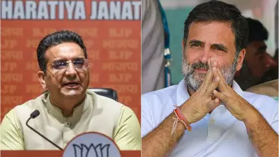 BJP Condemns Rahul Gandhi for 'Endorsing' USCIRF Report Targeting RAW, RSS