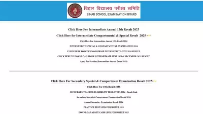 BSEB 10th Result 2026 Released: Check and Download Bihar Board Matric Scorecard PDF