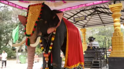 Chennai Temple Embraces Robotic Elephant Airavatham to End Animal Use in Rituals