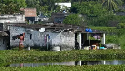 Chennai's Rajakilpakkam Lake Shrinks from 100+ to Under 30 Acres Amid Neglect
