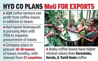 Coffee Farmers in Andhra Pradesh to Profit from Leaves, Not Just Beans