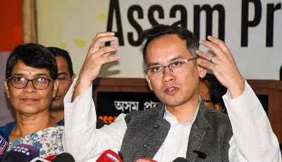 Congress Unveils First Assam Poll List: Gaurav Gogoi, Ex-MLAs' Sons Among Candidates