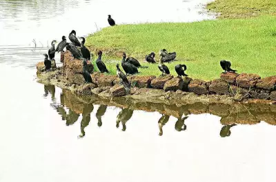 Curtorim Gram Sabha Rejects Mega Project Over Water Contamination Fears