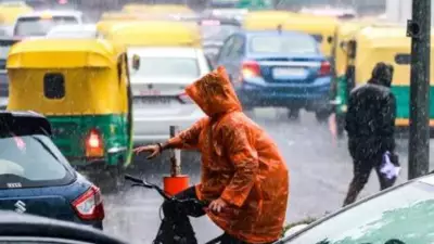 Delhi-NCR Sees Rainfall, Temperature Drop as IMD Issues Thunderstorm Alert