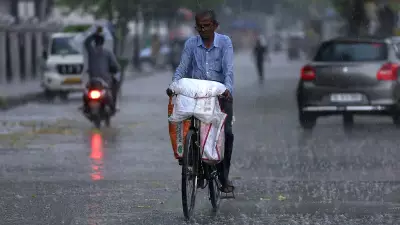 Delhi Records Coldest March Day in Six Years, Rain Brings 'Satisfactory' AQI