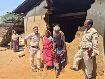 Elephant Herd Flattens House in Chhattisgarh, Family Rescued Minutes Before