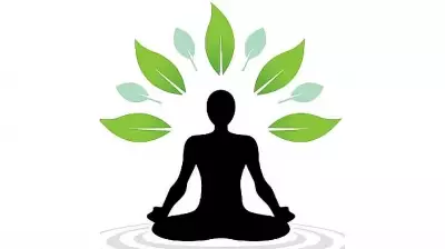 Exploring Self-Realization Through Assertion and Negation in Philosophy