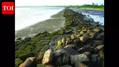 Goa Moves to Protect Historic Gopakapattana Port and 14 Other Archaeological Sites