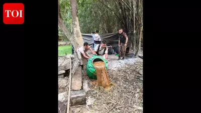 Golaghat Police Crackdown: 3,000 Litres of Illegal 'Sulai' Seized, Dozens of Dens Dismantled