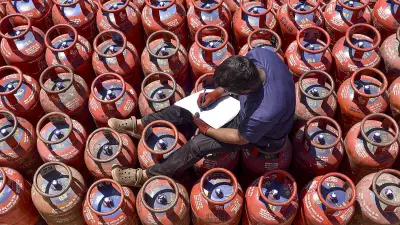 Government Accelerates City Gas Projects and Boosts Commercial LPG Supply