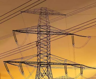 Gurgaon's LPG Shortage Sparks Surge in Electricity Use as Residents Turn to Induction Cooktops