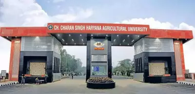 HAU Secures Patent for Innovative Bee Hive Device to Combat Global Honeybee Threat