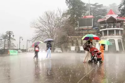 Himachal Pradesh Sees Relief as Rains and Snowfall Bring Down Temperatures