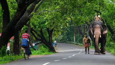 Human-Animal Conflict Becomes Key Election Issue in Kerala's Wayanad for 2026