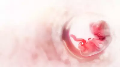 Human Eggs Exhibit Microscopic 'Mate Choice' by Selecting Sperm, Scientists Discover