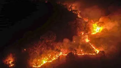 IAF Helicopters Battle Arunachal Forest Fire, Drop 1.62 Lakh Litres of Water