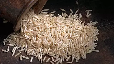 Indian Basmati Rice Exports to Iran Stalled Amid Regional Conflict