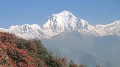 Indian Himalayan Tree Cover Declines 2.2% in Two Years, Carbon Stock Assessed