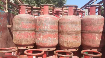 India's LPG and PNG Consumption Doubles in a Decade, IISD Reports