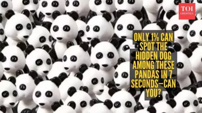 Internet's Latest Brain Teaser: Find the Hidden Dog in a Sea of Pandas